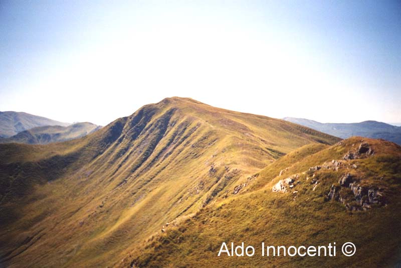 MONTE SILLANO